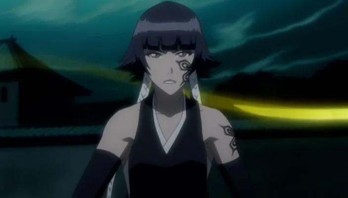 Capture 9 — Épisode 245 : Poursuivre Byakuya ! Les Divisions du Gotei en confusion