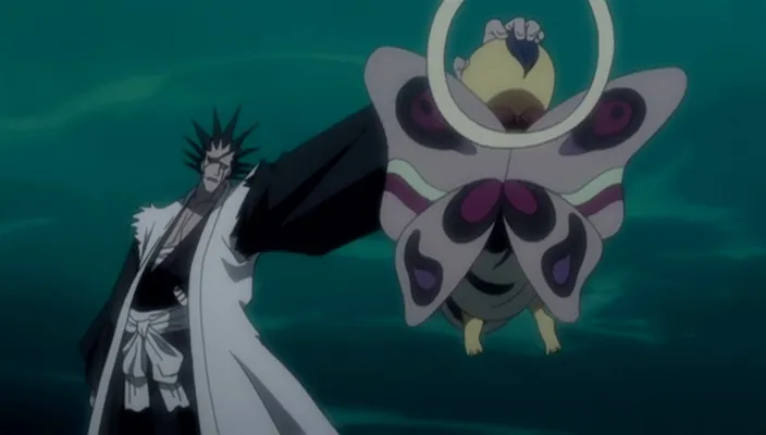 Capture 14 — Épisode 245 : Poursuivre Byakuya ! Les Divisions du Gotei en confusion