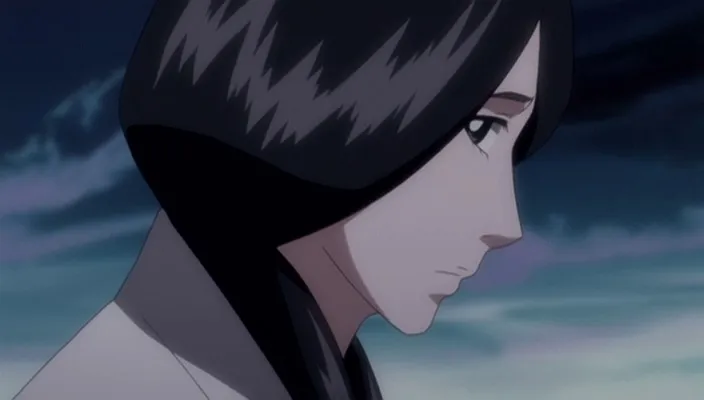 Capture 24 — Épisode 245 : Poursuivre Byakuya ! Les Divisions du Gotei en confusion
