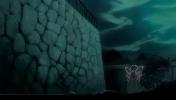Capture 25 — Épisode 245 : Poursuivre Byakuya ! Les Divisions du Gotei en confusion