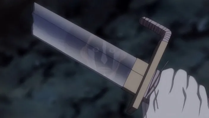 Capture 30 — Épisode 245 : Poursuivre Byakuya ! Les Divisions du Gotei en confusion