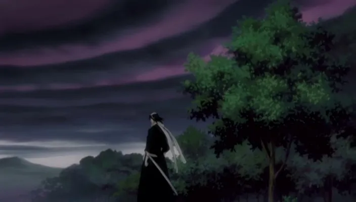 Capture 14 — Épisode 252 : Byakuya — La Vérité derrière sa trahison