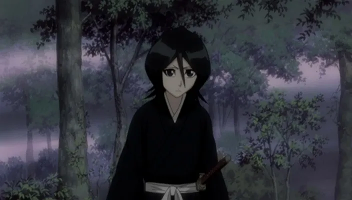 Capture 5 — Épisode 254 : Byakuya et Renji — La 6e Division retrouve sa voie
