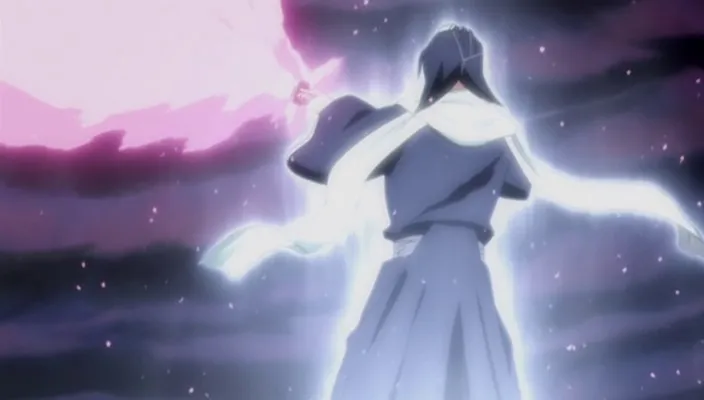 Capture 25 — Épisode 254 : Byakuya et Renji — La 6e Division retrouve sa voie