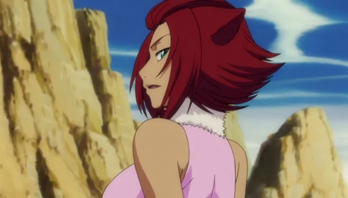 Capture 17 — Épisode 260 : Conclusion ! Hisagi contre Kazeshini