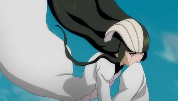 Capture 15 — Épisode 266 : La Bataille de Fake Karakura Town