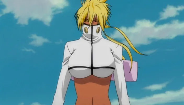 Capture 17 — Épisode 266 : La Bataille de Fake Karakura Town