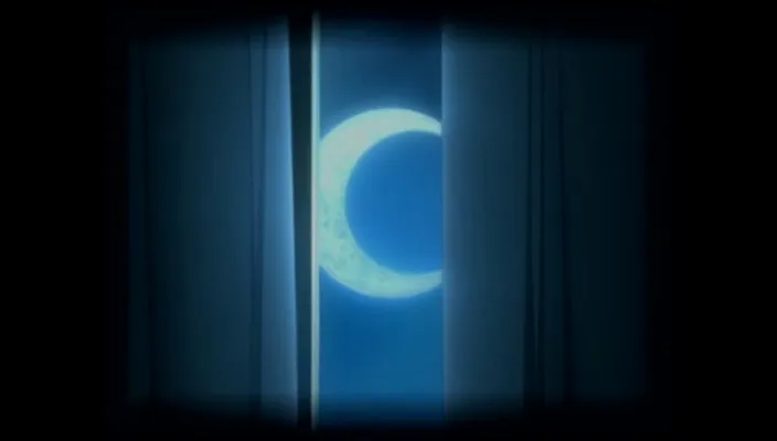 Capture 28 — Épisode 266 : La Bataille de Fake Karakura Town