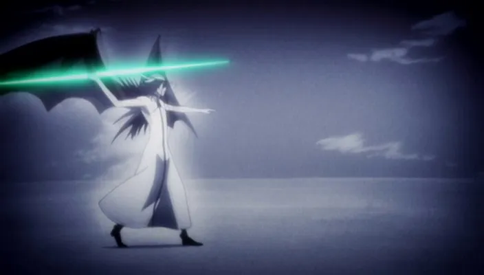 Capture 2 — Épisode 270 : Shunsui contre Starrk