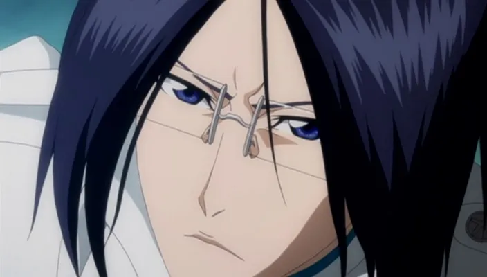 Capture 6 — Épisode 270 : Shunsui contre Starrk