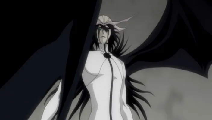 Capture 13 — Épisode 270 : Shunsui contre Starrk