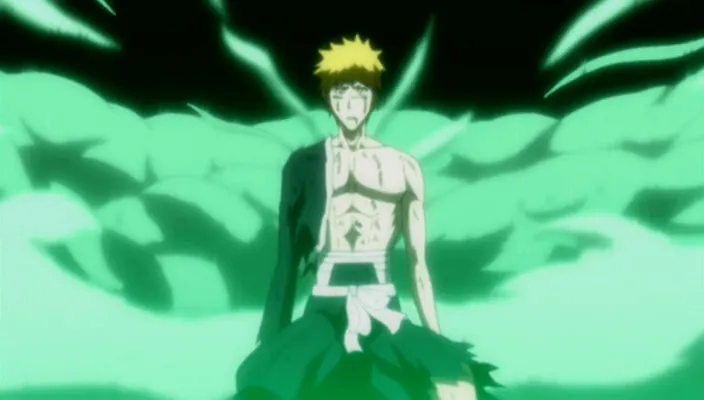 Capture 23 — Épisode 270 : Shunsui contre Starrk
