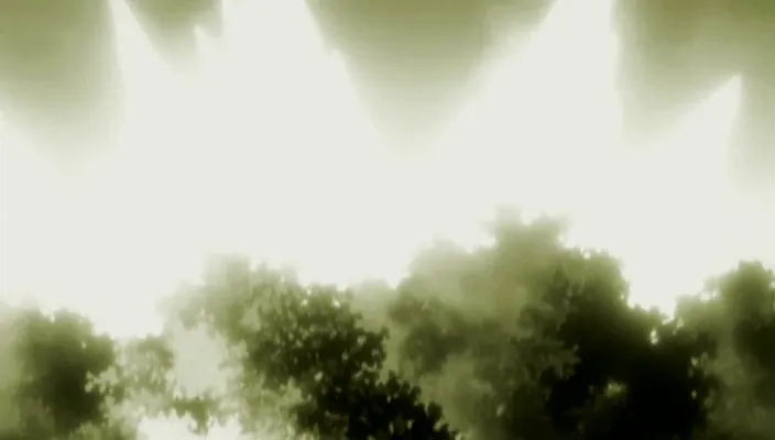 Capture 2 — Épisode 273 : Tōsen révèle sa Resurrección