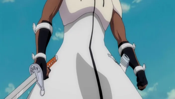 Capture 29 — Épisode 290 : Transformations d'Aizen