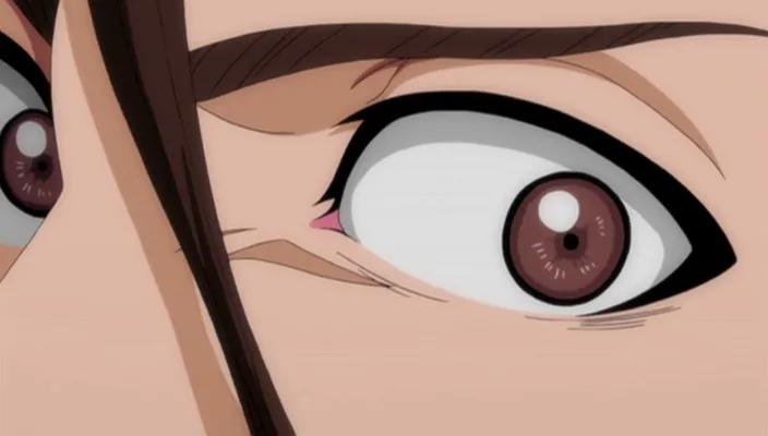 Capture 26 — Épisode 293 : Mort de Gin Ichimaru