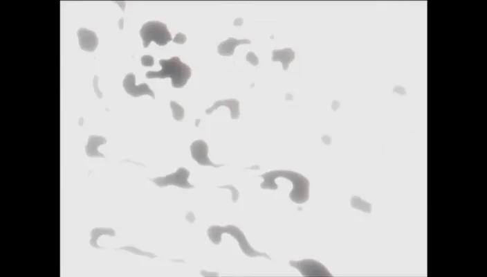 Capture 5 — Épisode 295 : L'Entraînement final — Mugetsu