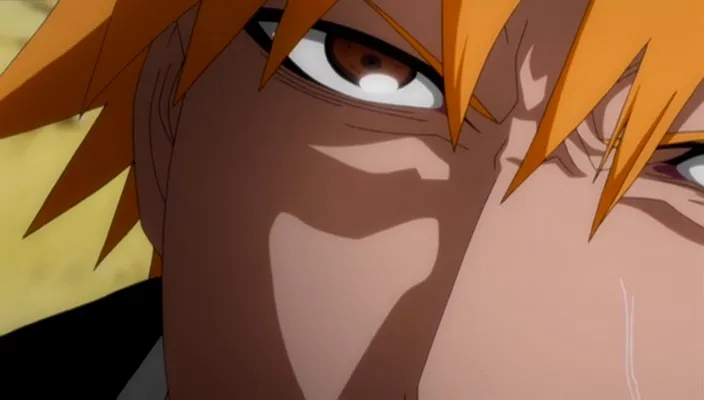 Capture 24 — Épisode 296 : Les Origines d'Ichigo révélées