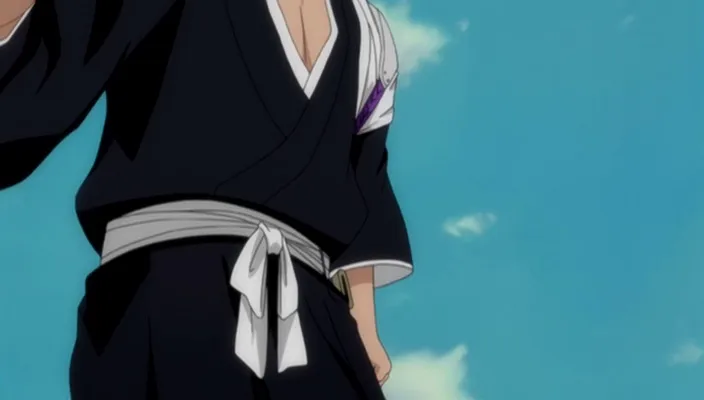 Capture 28 — Épisode 296 : Les Origines d'Ichigo révélées