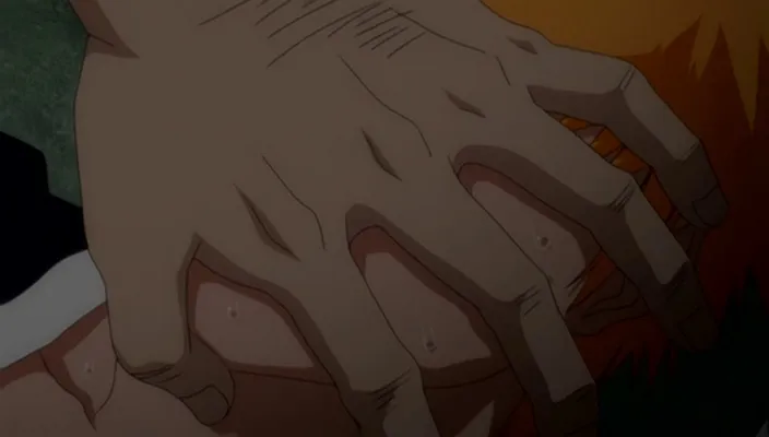 Capture 29 — Épisode 296 : Les Origines d'Ichigo révélées