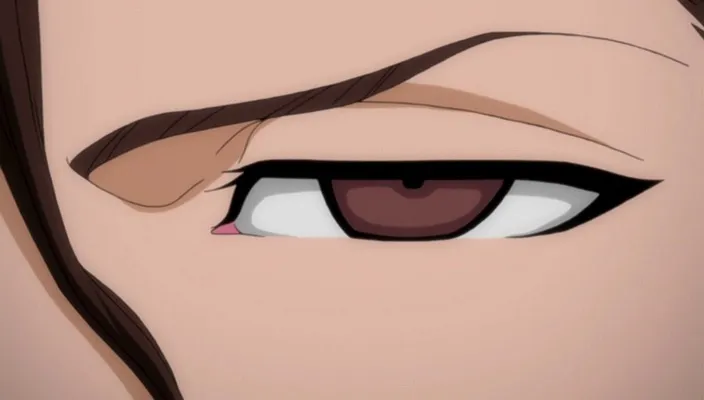 Capture 9 — Épisode 300 : La Perte des pouvoirs Shinigami