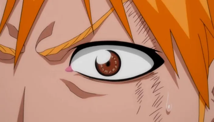 Capture 23 — Épisode 301 : Épilogue — Karakura Town