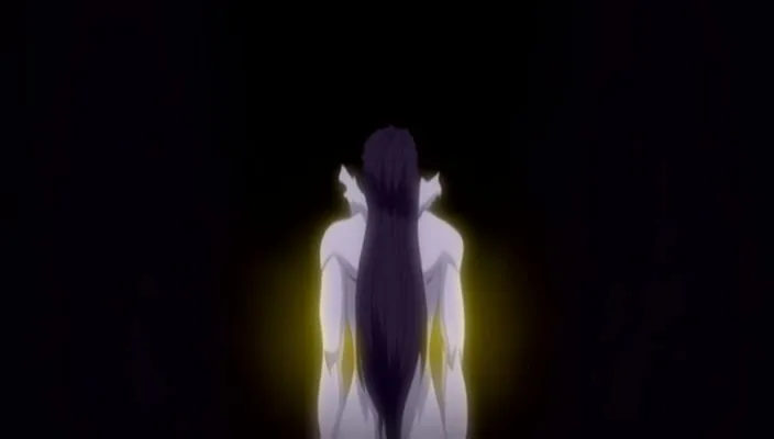 Capture 27 — Épisode 301 : Épilogue — Karakura Town