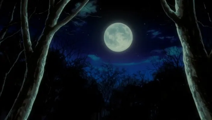 Capture 15 — Épisode 323 : Ichigo contre son double