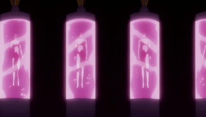 Capture 27 — Épisode 329 : Combat final contre Inaba