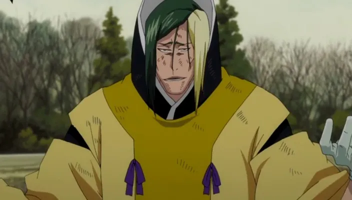 Capture 14 — Épisode 334 : Ichigo revient