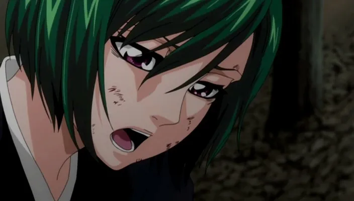 Capture 24 — Épisode 334 : Ichigo revient