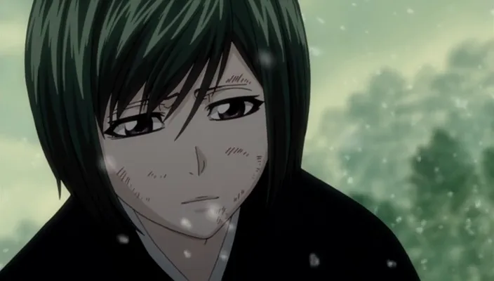 Capture 27 — Épisode 334 : Ichigo revient