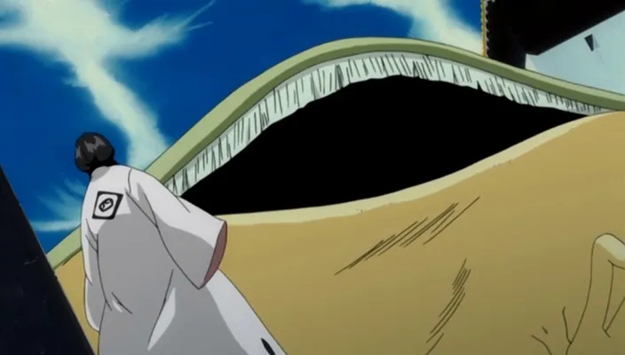 Capture 6 — Épisode 339 : Épilogue filler