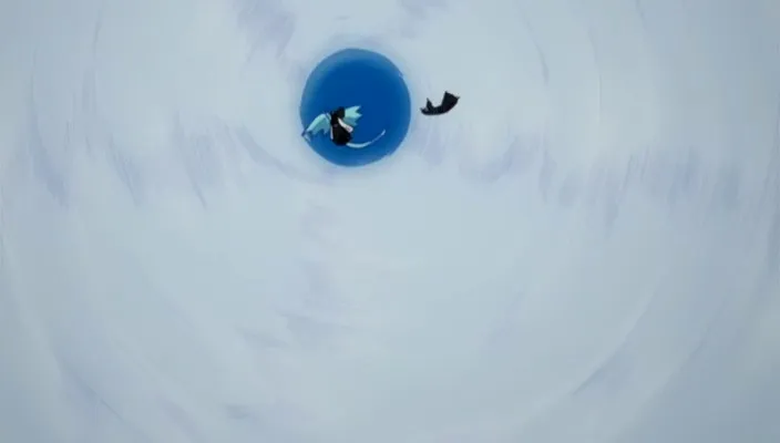 Capture 9 — Épisode 355 : La Vérité sur les Shinigamis Substituts