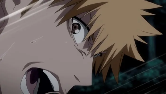 Capture 17 — Épisode 359 : Enterrement de Kūgo Ginjō