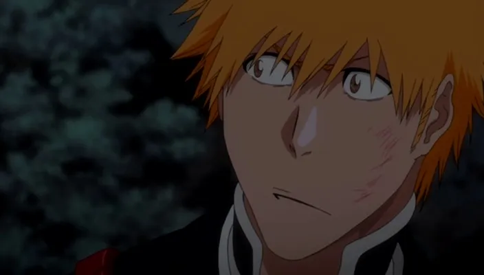 Capture 26 — Épisode 361 : Souvenirs de Rukia