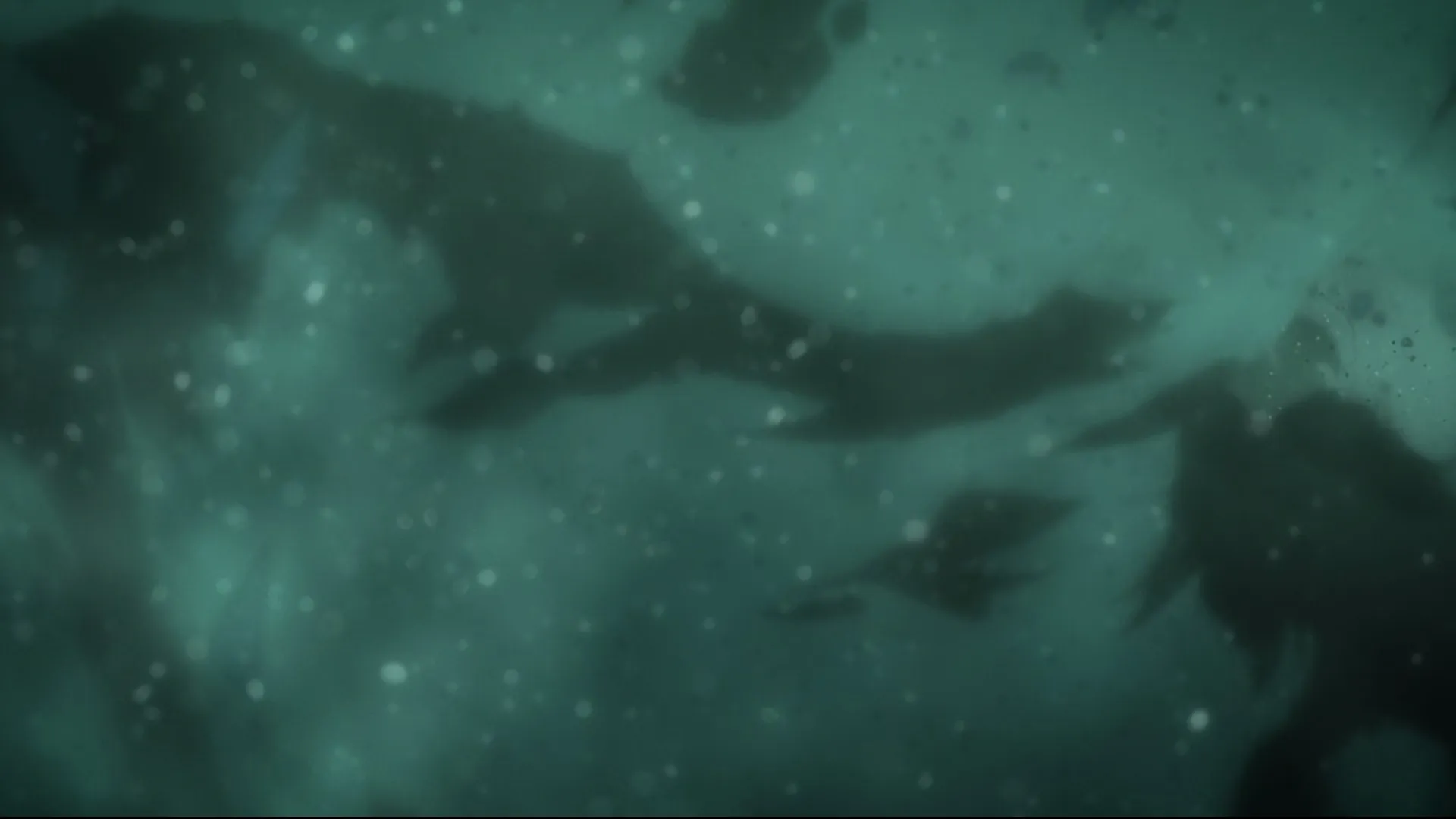 Capture 29 — TYBW Épisode 4 : Part 1 — The Blood Warfare