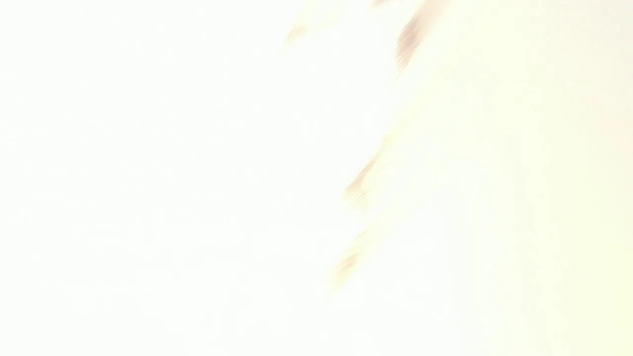 Capture 14 — TYBW Épisode 16 : Part 2 — The Separation