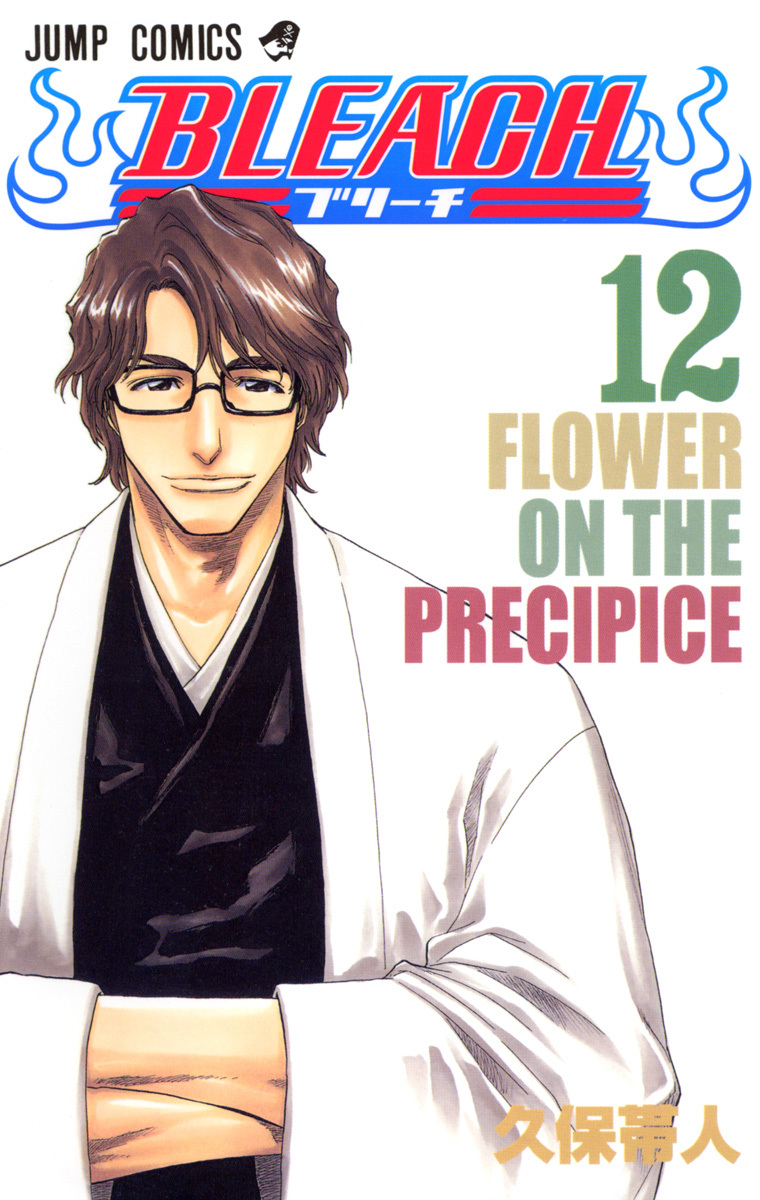 Bleach Tome 12