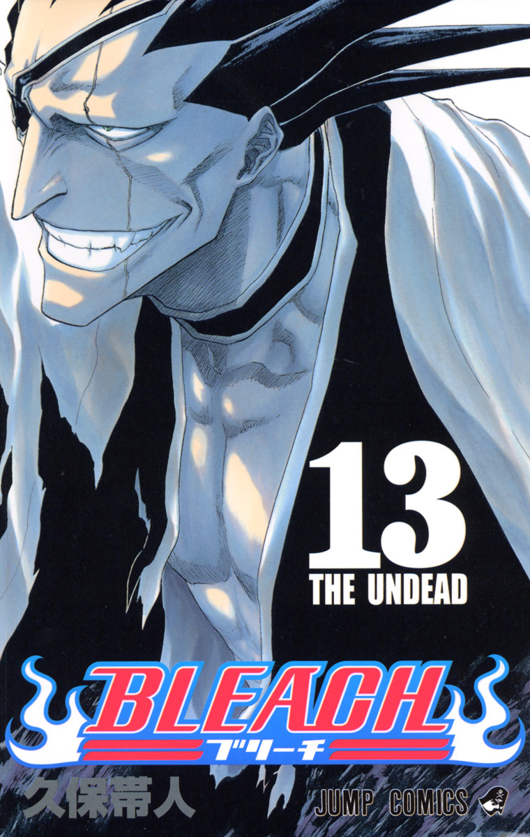Bleach Tome 13