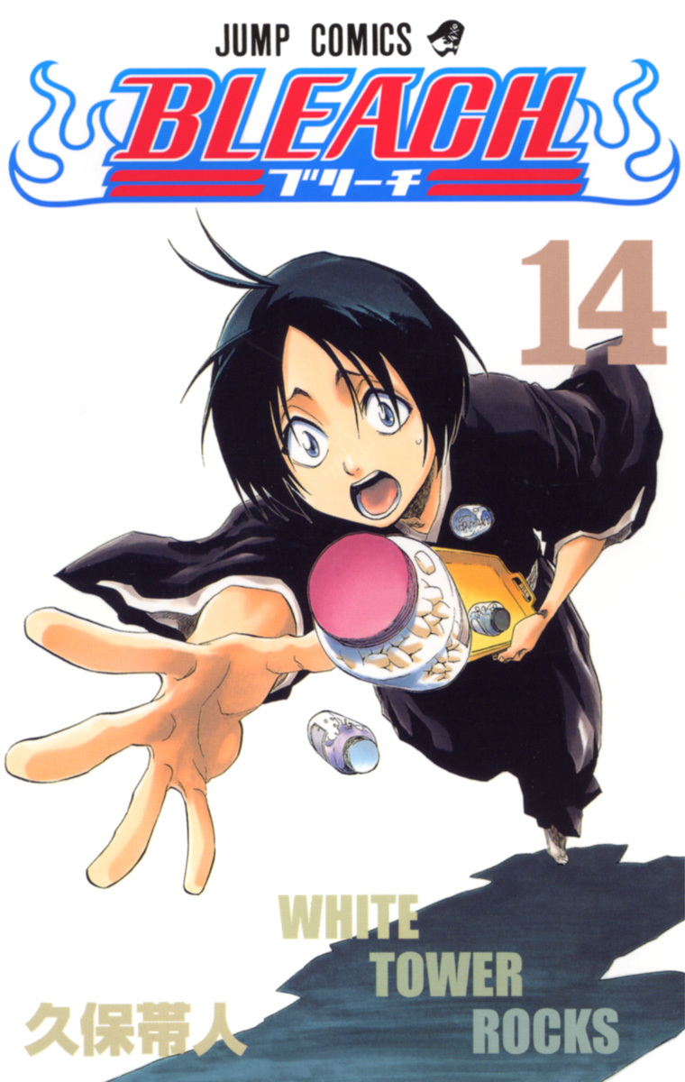 Bleach Tome 14
