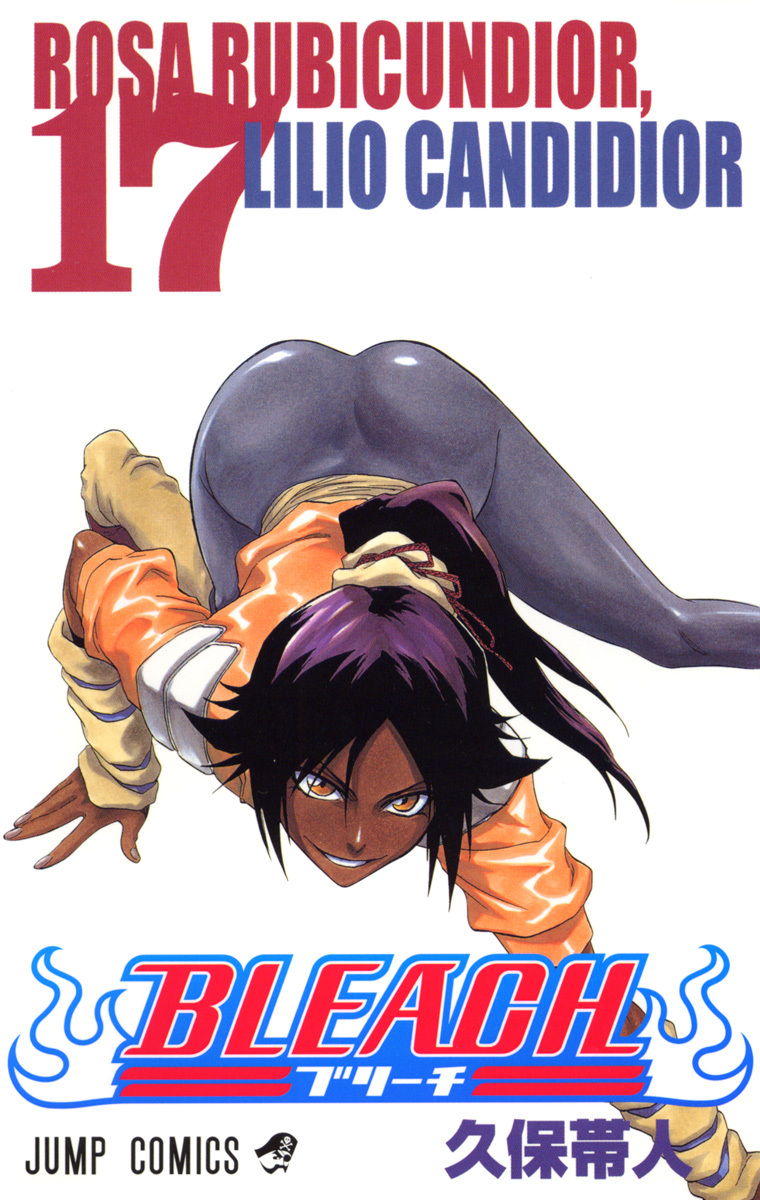 Bleach Tome 17