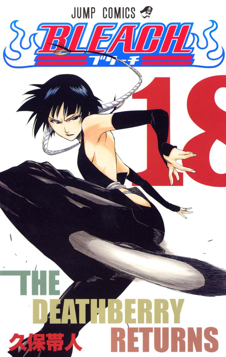 Bleach Tome 18