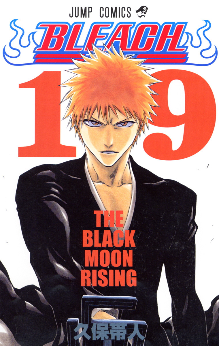 Bleach Tome 19