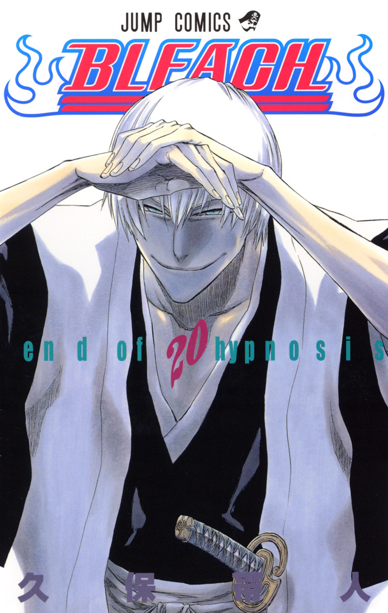 Bleach Tome 20