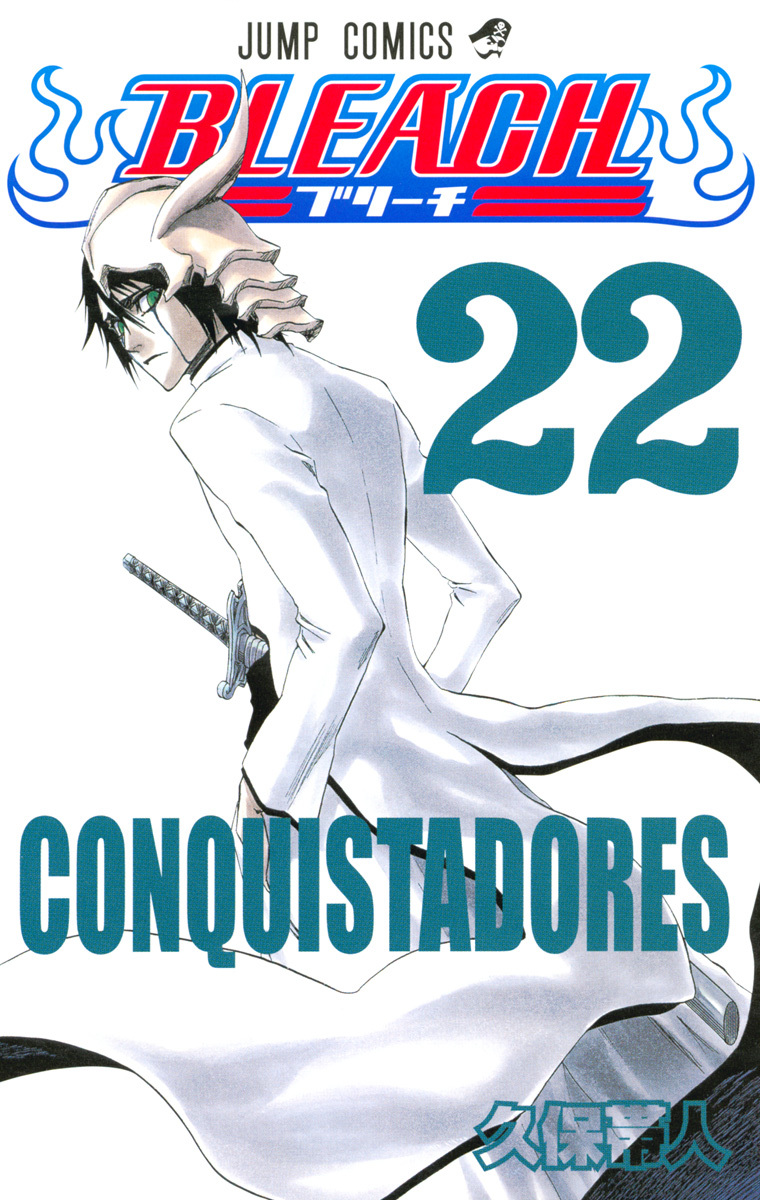 Bleach Tome 22