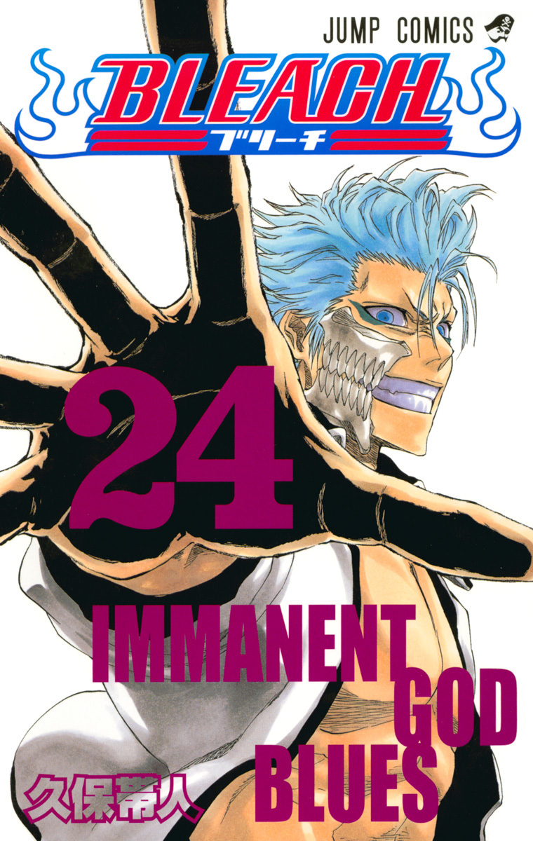 Bleach Tome 24