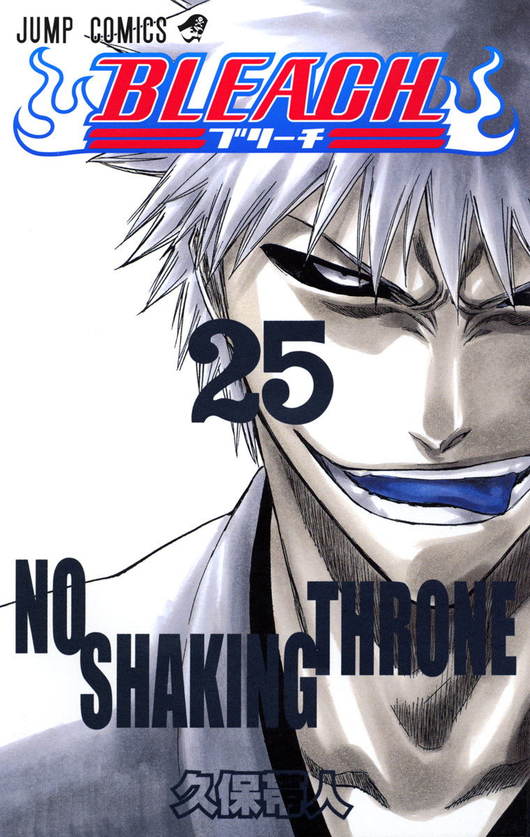 Bleach Tome 25