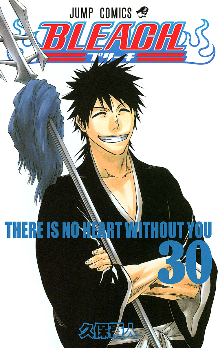 Bleach Tome 30