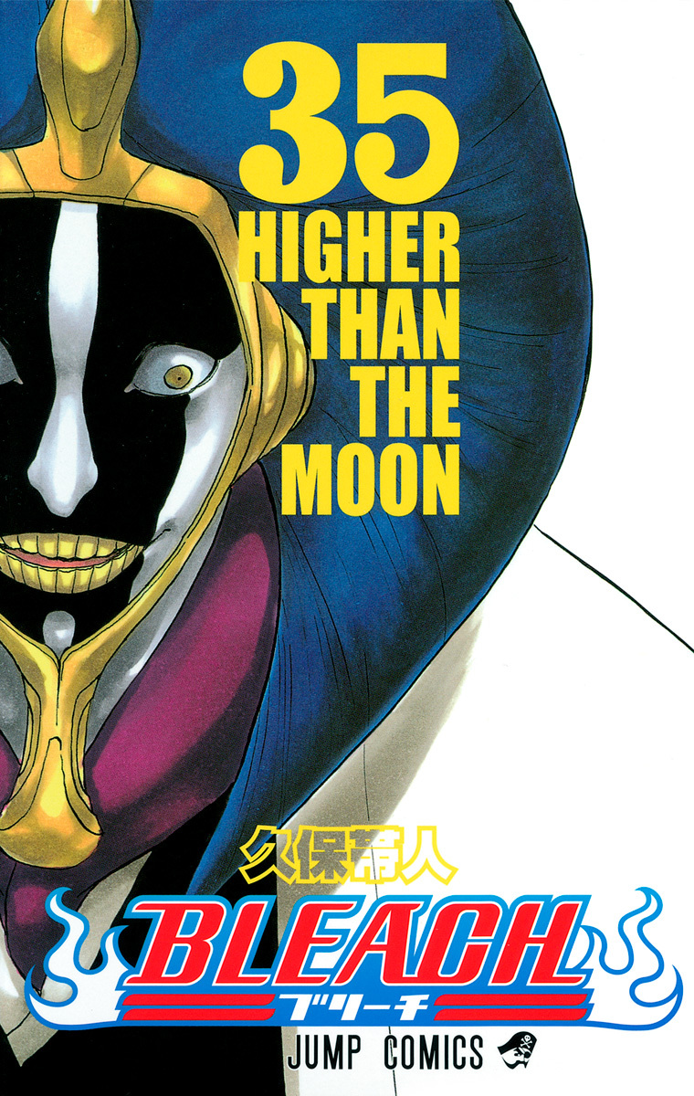 Bleach Tome 35