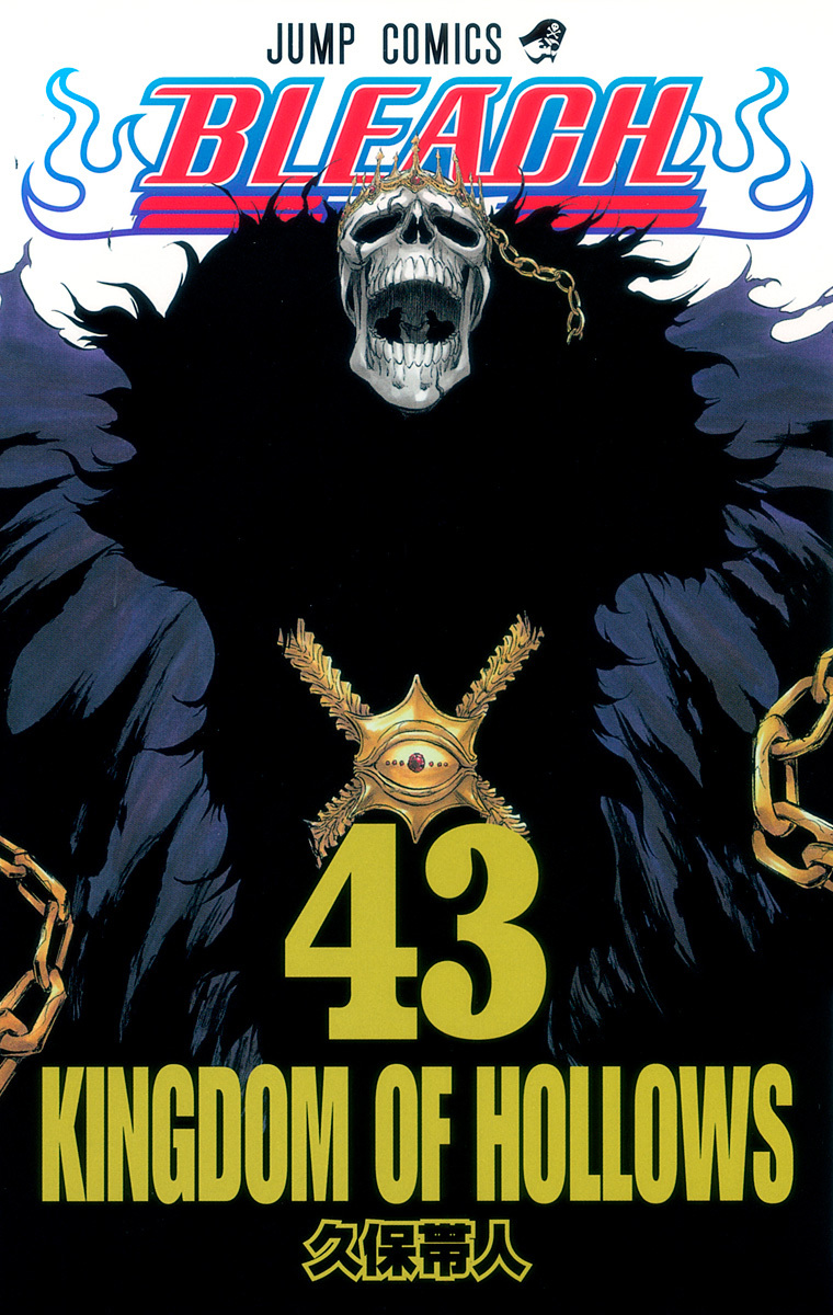 Bleach Tome 43